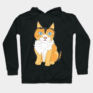 Cat Hoodie